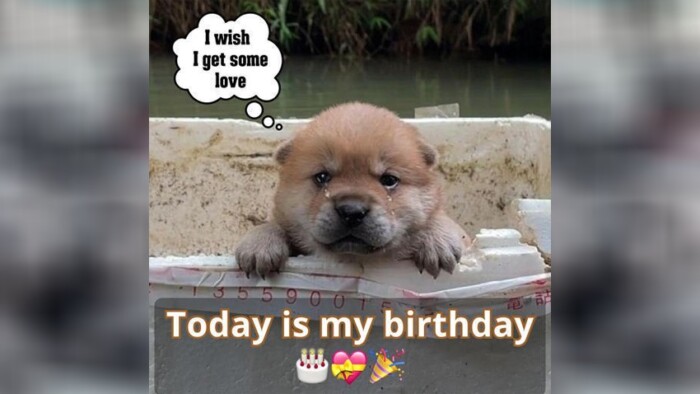Today is my birthday ????, yet the absence of any well wishes thus far leaves a tinge of sadness ????
