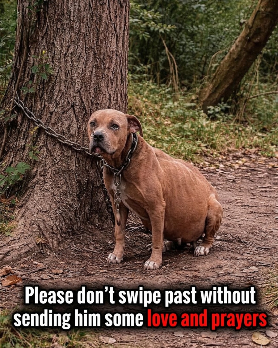 HE WAITED WHERE THEY LEFT HIM